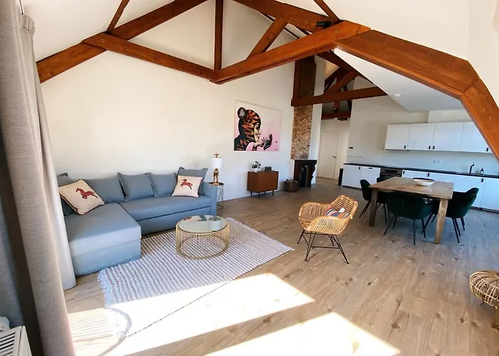 Luxurious Historical Loft Close To The Beach! Вассенар